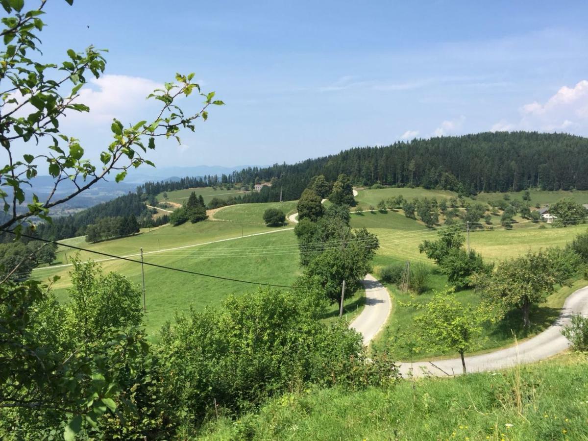 Apartment Villa Louise Sankt Kanzian am Klopeiner See Kültér fotó